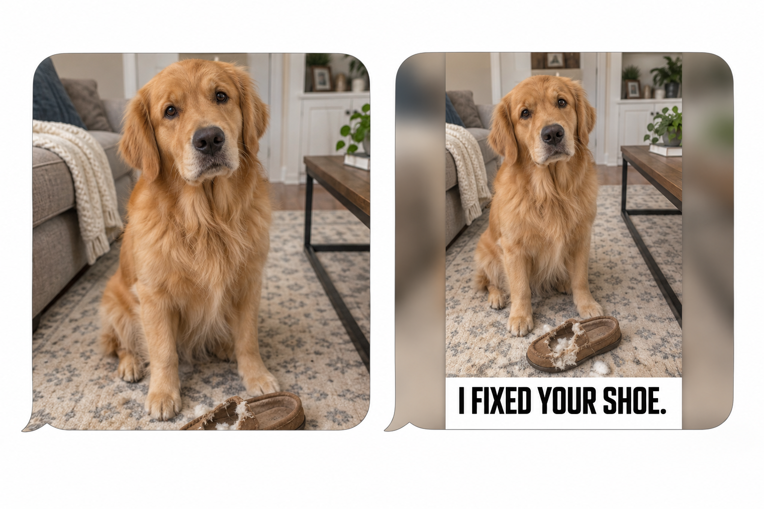 The same dog meme in two message previews: without MessagePics the bottom punchline is cut off; with MessagePics, I FIXED YOUR SHOE is visible without opening the photo.